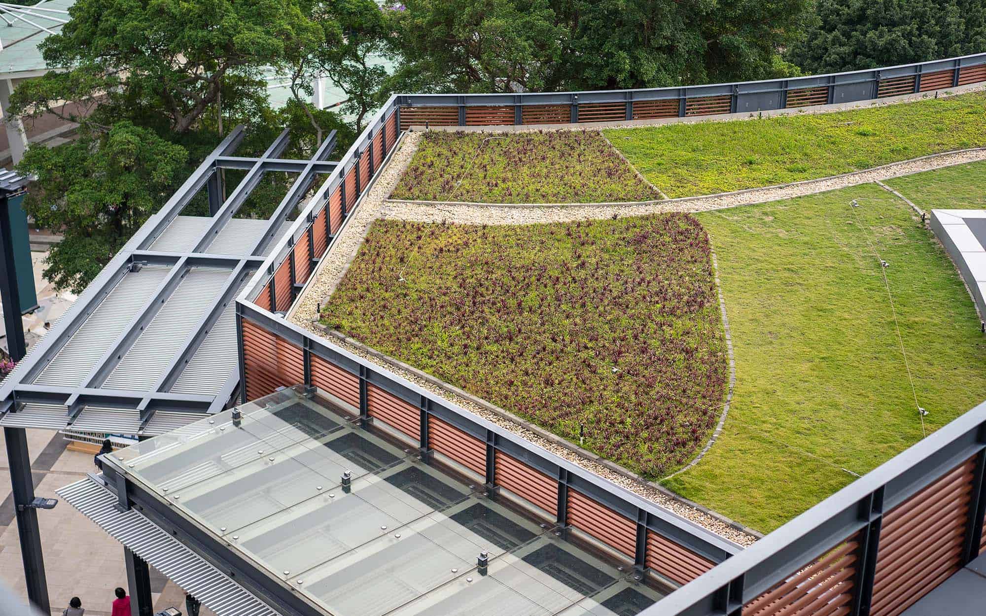 Overhead-view-of-a-green-sustainable-rooftop